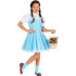 Fantasia Dorothy Infantil Mágico de Oz Luxo