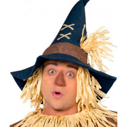 Fantasia Espantalho Mágico de OZ Luxo Adulto