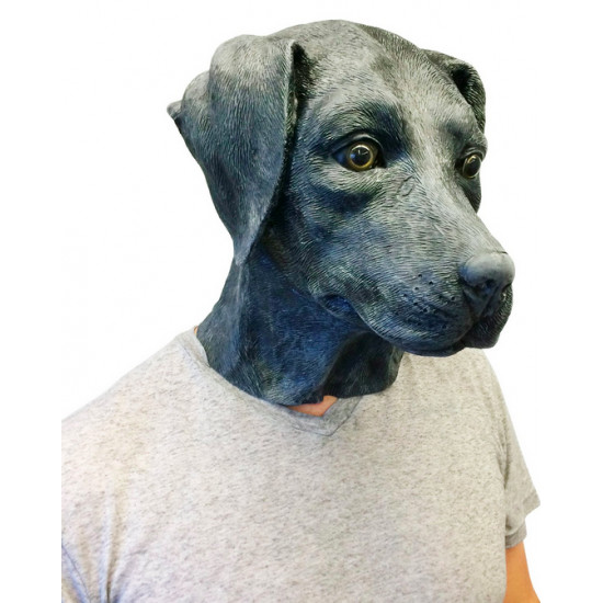 Máscara de Cachorro Labrador Vinil Animal Luxo