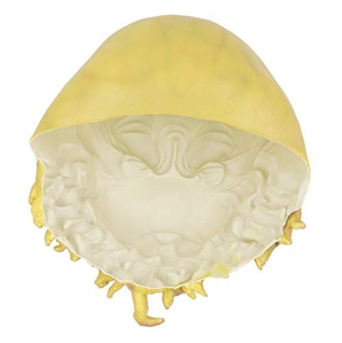 Máscara de Polvo Pirate Davy Jones Luxo Máscara de Polvo Pirate Davy Jones Luxo