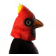 Máscara de Vinil Animal Pássaro Cardinal Luxo Máscara de Vinil Animal Pássaro Cardinal Luxo