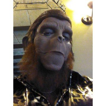 Máscara Macaco para Aplicação de Maquiagem Máscara Macaco para Aplicação de Maquiagem