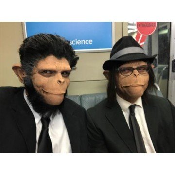 Máscara Macaco para Aplicação de Maquiagem Máscara Macaco para Aplicação de Maquiagem