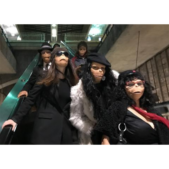 Máscara Macaco para Aplicação de Maquiagem