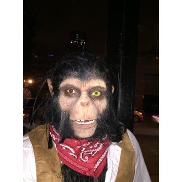 Máscara Macaco para Aplicação de Maquiagem Máscara Macaco para Aplicação de Maquiagem