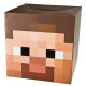 Máscara Minecraft Steve Infantil