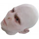 Máscara Voldemort Harry Potter Luxo Nova Máscara Voldemort Harry Potter Luxo Nova