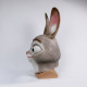 Máscara Zootopia Judy Hopps