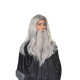 Peruca Dumbledore Albus Harry Potter