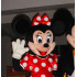Cabeça Mascote Minnie Super Luxo