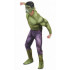 Fantasia Adulto Incrível Hulk com Músculo Clássica