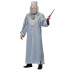 Fantasia Dumbledore Adulto Luxo