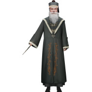 Fantasia Dumbledore Harry Potter Adulto De Luxo