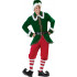 Fantasia Elf Duende Elite Adulto