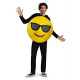 Fantasia Emoji Óculos de Sol Adulto