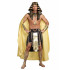 Fantasia Faraó Adulto Masculino Elite Clássica