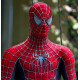 Fantasia Homem Aranha Luxo Clássica Elite Luxo Fantasia Homem Aranha Luxo Clássica Elite Luxo
