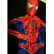 Fantasia Homem Aranha Luxo Clássica Elite Luxo Fantasia Homem Aranha Luxo Clássica Elite Luxo