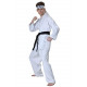 Fantasia Karate Kid Daniel San adulto Fantasia Karate Kid Daniel San adulto