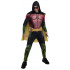 Fantasia Robin Adulto Arkham City Luxo