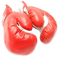 Fantasia Rocky Balboa Sylvester Stallone Adulto