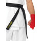 Fantasia Ryu Adulto do Street Fighter Fantasia Ryu Adulto do Street Fighter