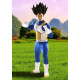 Fantasia Vegeta Dragon Ball Adulto