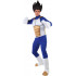 Fantasia Vegeta Dragon Ball Adulto