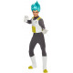 Fantasia Vegeta Dragon Ball Z Adulto Fantasia Vegeta Dragon Ball Z Adulto