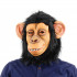 Máscara de Latex Macaco Moderna