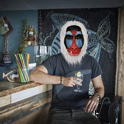 Máscara Rafiki Rei Leão Adulto