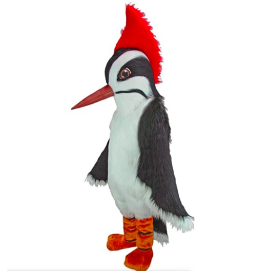 Mascote Pica Pau Adulto Pássaro Mascote Pica Pau Adulto Pássaro