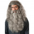 Peruca e Barba Gandalf Senhor dos Aneis Adulto