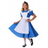 Fantasia Alice no País das Maravilhas Infantil Clássico