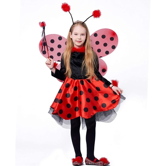 Fantasia Joaninha Infantil Luxo Bailarina