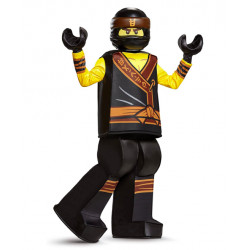 Fantasia Cole Ninjago Lego Infantil Filme Luxo