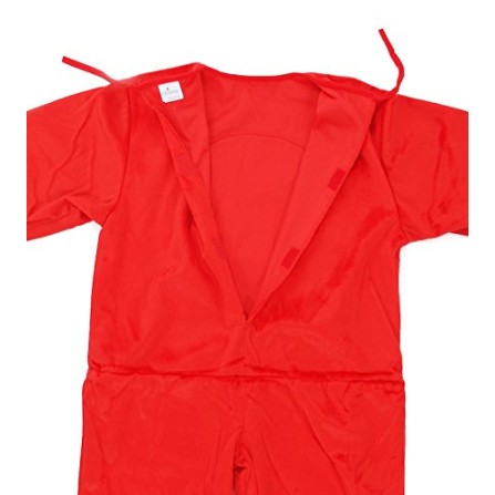 Fantasia Dr. Seuss Thing 1 Infantil