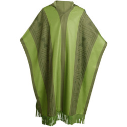 Fantasia Encanto Camilo Disney infantil Luxo