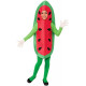 Fantasia Fruta Melancia Infantil Fantasia Fruta Melancia Infantil
