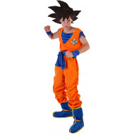 Fantasia Goku Dragon Ball Infantil