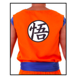 Fantasia Goku Dragon Ball Infantil