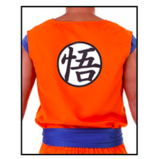 Fantasia Goku Dragon Ball Infantil