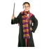 Fantasia Harry Potter Infantil Luxo