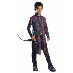 Fantasia Hawkeye Os Vingadores 2 Era de Ultron Infantil