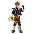 Fantasia Kingdom Hearts Sora deluxe Infantil