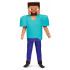 Fantasia Steve Minecraft