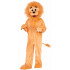 Mascote Leão Infantil