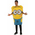Fantasia Adulto Minion Dave Meu Malvado Favorito