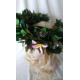 Tiara Moana Disney Tiara Moana Disney