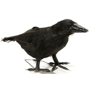 Pássaro Corvo Preto da Bruxa Malévola Bela Adormecida. Pássaro Corvo Preto da Bruxa Malévola Bela Adormecida.